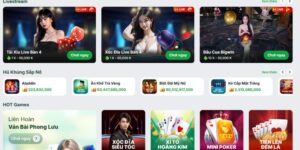 topbet